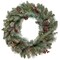 Prelit Snowy Waterloo Pine Artificial Christmas Wreath with Clear Lights 24 Inch